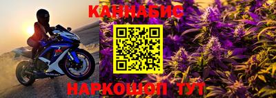 амф Донской