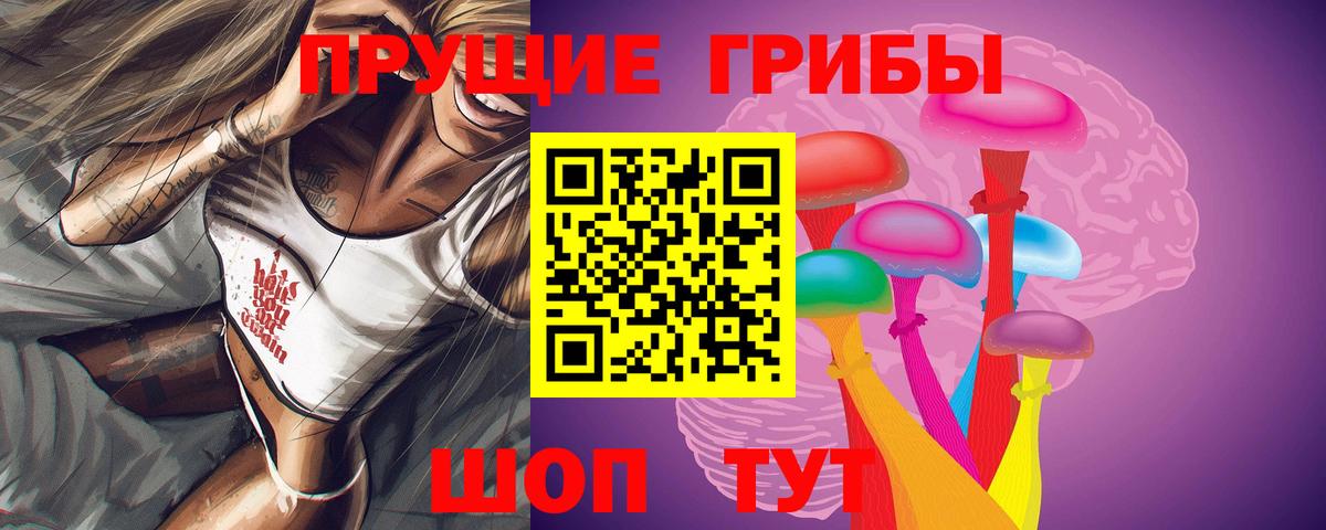 Псилоцибиновые грибы Psilocybine cubensis Норильск